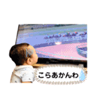 きぼたん（個別スタンプ：28）