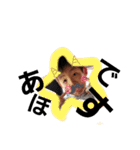 fffffffamily（個別スタンプ：17）