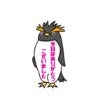 イワトビックペンギン 敬語（個別スタンプ：3）