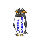 イワトビックペンギン 敬語（個別スタンプ：11）