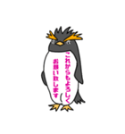 イワトビックペンギン 敬語（個別スタンプ：13）