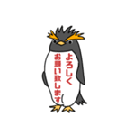 イワトビックペンギン 敬語（個別スタンプ：14）