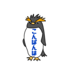 イワトビックペンギン 敬語（個別スタンプ：23）