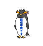 イワトビックペンギン 敬語（個別スタンプ：28）