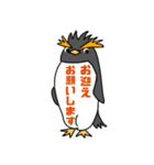 イワトビックペンギン 敬語（個別スタンプ：37）