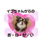 Yu-moinの愛犬スタンプ（個別スタンプ：9）