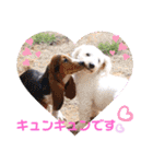 Yu-moinの愛犬スタンプ（個別スタンプ：22）