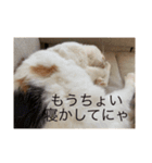 まるのスタンプ3（個別スタンプ：11）