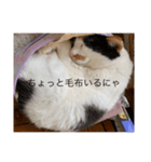 まるのスタンプ3（個別スタンプ：14）