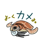 うお！ お魚ダジャレスタンプ（個別スタンプ：37）