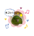 サザナミインコ、ヨモギのスタンプ（個別スタンプ：23）