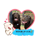 こたろう6（お友達）（個別スタンプ：1）