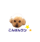 trigg（個別スタンプ：3）