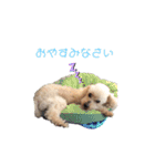trigg（個別スタンプ：4）