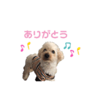 trigg（個別スタンプ：5）