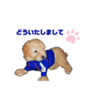 trigg（個別スタンプ：6）