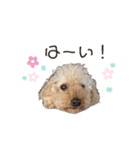 trigg（個別スタンプ：7）
