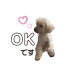 trigg（個別スタンプ：8）