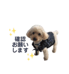 trigg（個別スタンプ：9）