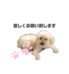 trigg（個別スタンプ：11）
