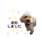 trigg（個別スタンプ：13）