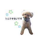 trigg（個別スタンプ：14）