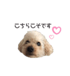 trigg（個別スタンプ：16）