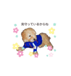trigg（個別スタンプ：19）
