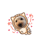 trigg（個別スタンプ：21）