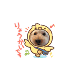 trigg（個別スタンプ：22）