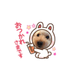 trigg（個別スタンプ：24）