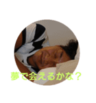 トイダあきさま（個別スタンプ：5）