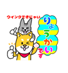 犬と猫・しば×ねこスタンプ（個別スタンプ：9）