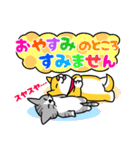 犬と猫・しば×ねこスタンプ（個別スタンプ：12）