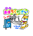 犬と猫・しば×ねこスタンプ（個別スタンプ：30）