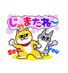 犬と猫・しば×ねこスタンプ（個別スタンプ：37）