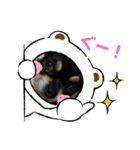 ふんふんのスタンプ Part5♡（個別スタンプ：1）
