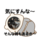 ふんふんのスタンプ Part5♡（個別スタンプ：5）