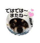 ふんふんのスタンプ Part5♡（個別スタンプ：8）