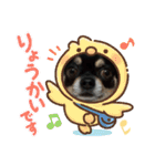 ふんふんのスタンプ Part5♡（個別スタンプ：15）
