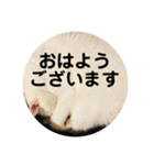 ろろスタンプ丸（個別スタンプ：2）