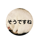 ろろスタンプ丸（個別スタンプ：7）