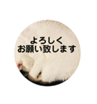 ろろスタンプ丸（個別スタンプ：13）