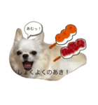 ぽこちゃんスタンプ！4（個別スタンプ：4）