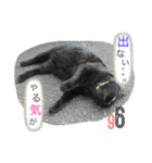 冨樫くろのスタンプ❷（個別スタンプ：1）