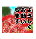 〈秋の毎日〉を楽しく過ごそう（個別スタンプ：11）