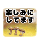 〈秋の毎日〉を楽しく過ごそう（個別スタンプ：14）