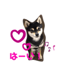 豆柴てつこのスタンプ（個別スタンプ：7）