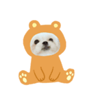 毎日ペキプ－（個別スタンプ：4）