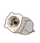 毎日ペキプ－（個別スタンプ：6）